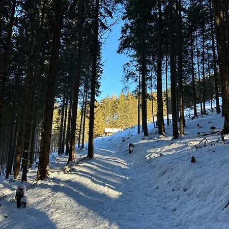 Berghuette In Tirol * Lager Walchen