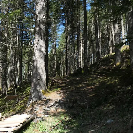 Berghuette In Tirol Lager Walchen