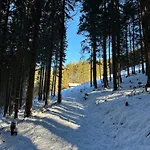 Berghuette In Tirol * Lager Walchen