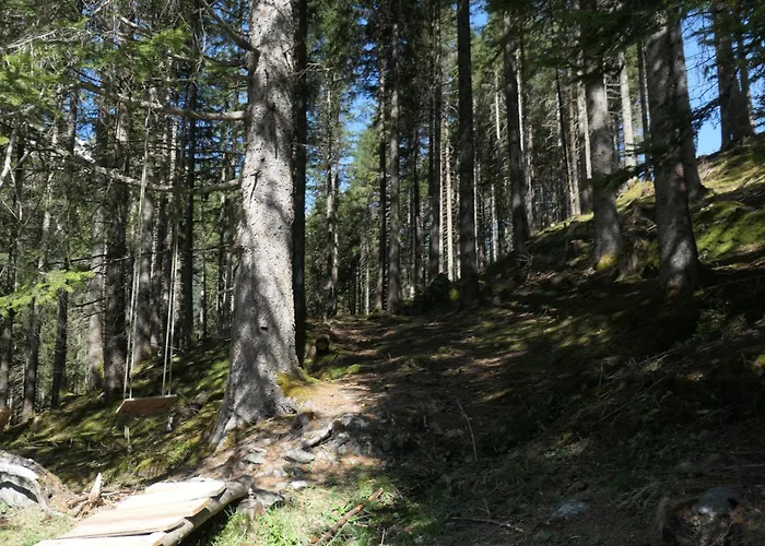 Berghuette In Tirol Lager Walchen